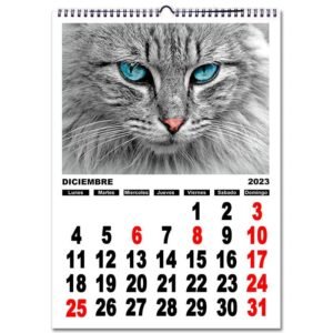 Calendario personalizado con fotos pared NÚMEROS A3